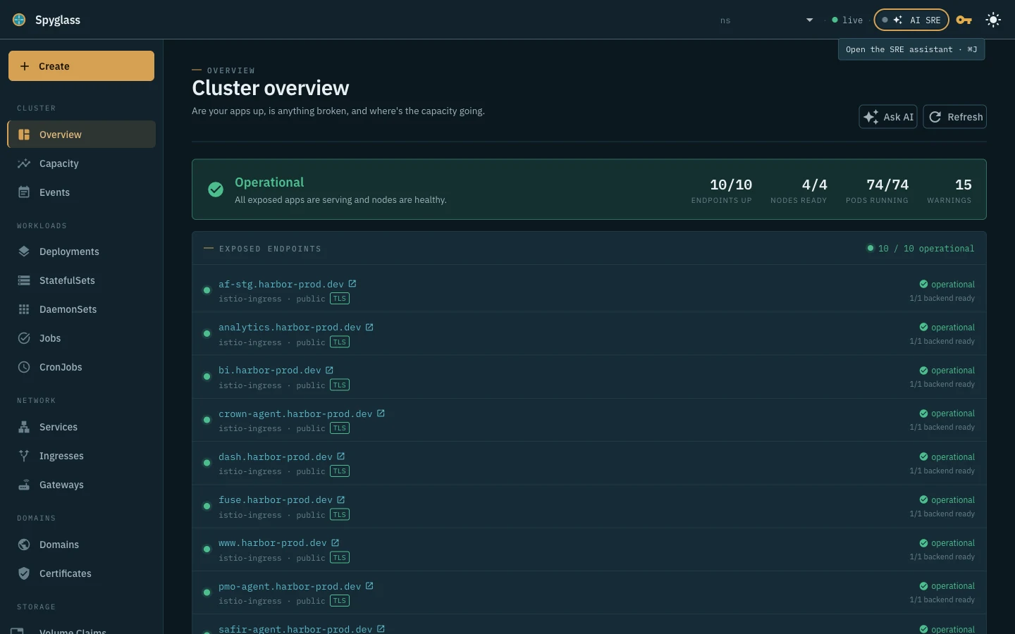 Berth cluster overview showing endpoint health, workload readiness and resource capacity.